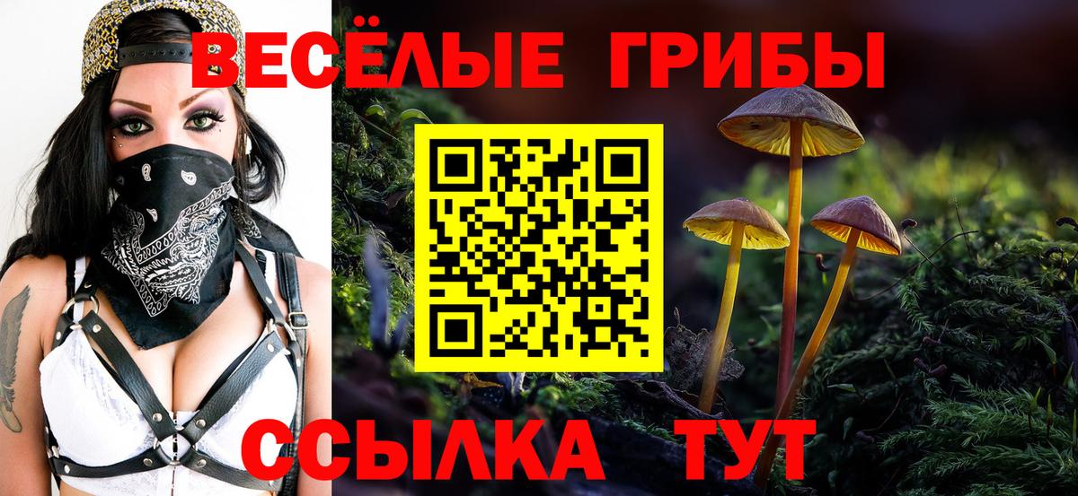 Псилоцибиновые грибы MAGIC MUSHROOMS Алапаевск