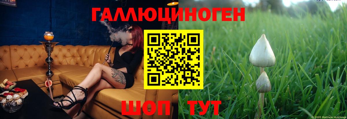 Галлюциногенные грибы прущие грибы  Вход с VPN  Алапаевск 